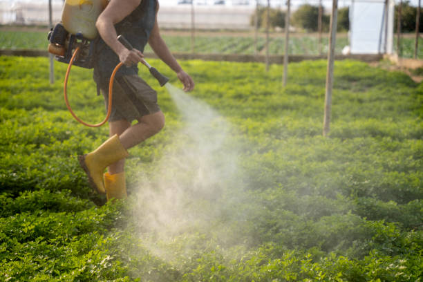 Best Local Pest Control Services  in Nashville, IN