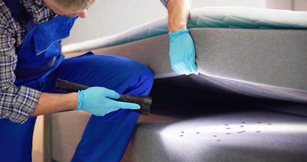 Best Termite Control Services  in Nashville, IN