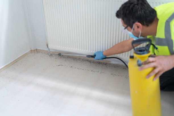 Best Best Pest Control Companies  in Nashville, IN