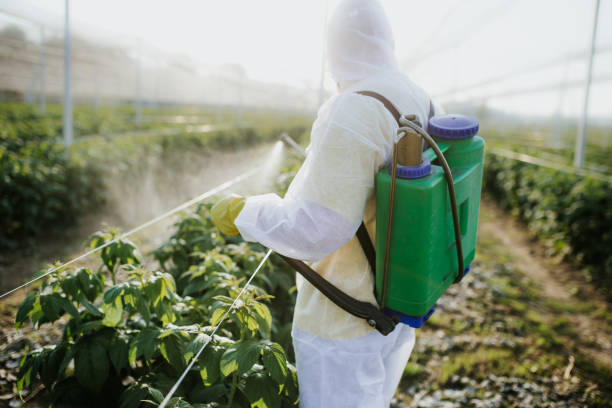 Pest Control Cost in Nashville, IN